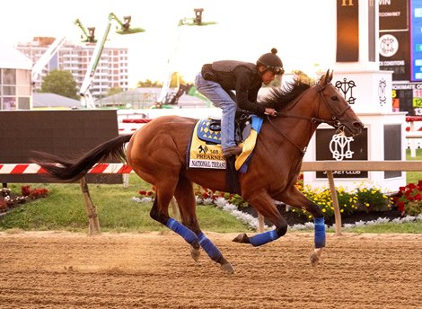 National Treasure - Work - Pimlico - 051523