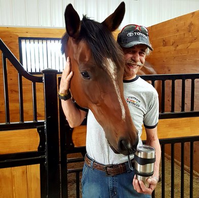Therapy work with people and horses at Out Side In