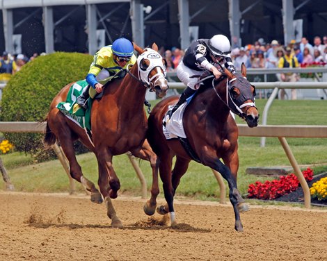 Interstatedaydream with Florent Geroux win the 30th Running of the Allaire Dupont Distaff Stakes at Pimlico on May 19, 2023. Photo By: Chad B. Harmon