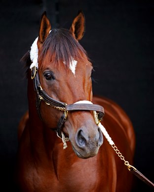 Cody&#39;s Wish - Paddock Schooling - R09 - CD - 050223