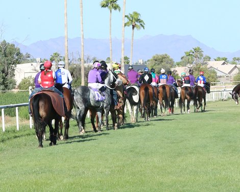 Tartini - Hasta La Vista Handicap - R10 - Turf Paradise - 050623