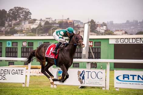 Game Time won $75,000 Alcatraz Stakes at Golden Gate Fields.  Owned by Hronis Racing LLC, coached by John Sadler and ridden by Armando Ayuso in a one-mile grass race.  PHOTOGRAPHY VASSAR/RONNIE WACKERLY