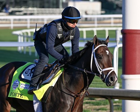 Forte goes out for his morning exercise at Churchill Downs Wednesday May 3, 2023 in Louisville, KY . Photo by Skip Dickstein