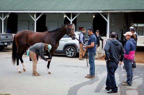 Kentucky Derby favorite Forte scratches after being examined by Kentucky Chief Veterinarian Nick Smith, right after a bruise on the colt’s right foot was discovered earlier in the week, Saturday, May 06, 2023 at the Churchill Downs in Louisville.