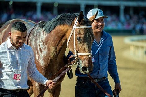Gambling Girl walks back after finishing 2nd in the 149th Kentucky Oaks on May 5, 2023