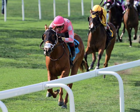 Crimson Advocate wins the 2023 Royal Palm Juvenile Fillies Stakes at Gulfstream Park
