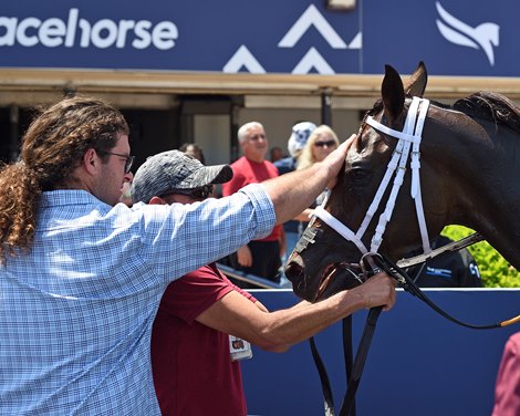 Honor D Lady wins the 2023 Honey Ryder Stakes at Gulfstream Park