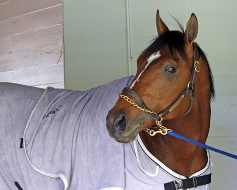 Skinner walking the shed row at Churchill Downs on May 1, 2023. Photo By: Chad B. Harmon