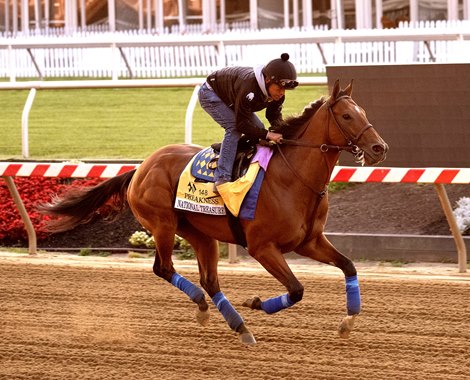 National Treasure - Morning - Pimlico - 051823