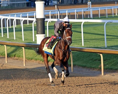 Angel of Empire on the track at Churchill Downs on May 4, 2023. Photo By: Chad B. Harmon