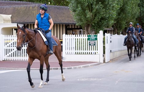 Vadeni( Domenika Kleczynska) walks out of the stables for exercise  at Deauville racecourse 14.8.22 Pic: Edward Whitaker