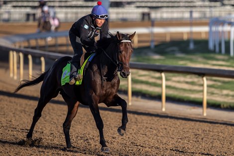 Kentucky Derby contender Confidence Game works out at Churchill Downs in Louisville, Ky., on Wednesday, May 3, 2023.