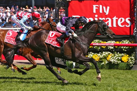 Fiorente wins the 2013 Melbourne Cup