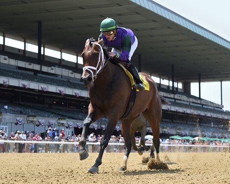 Classy Edition wins the Critical Eye Stakes on Monday, May 29, 2023 at Belmont Park