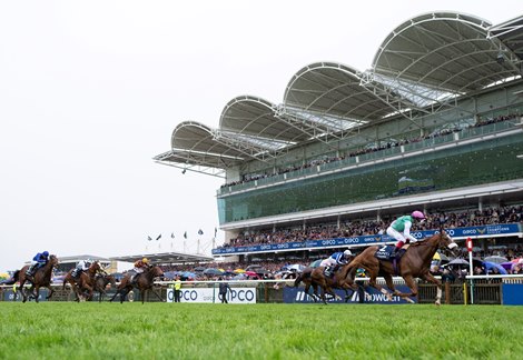 Chaldean (Frankie Dettori) wins the 2000 Guineas<br><br />
Newmarket 6.5.23 Pic: Edward Whitaker