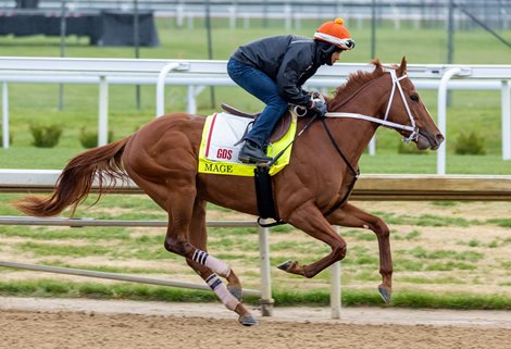 Mage, Churchill Downs, April 29, 2023