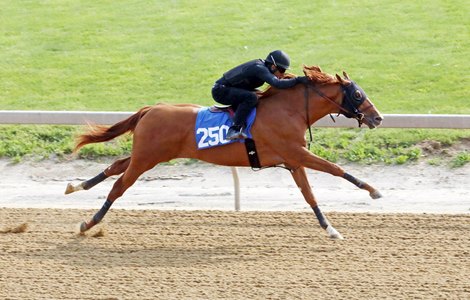 Hip 250, 2023 Fasig-Tipton Midlantic 2 Y-O-in Training Sale