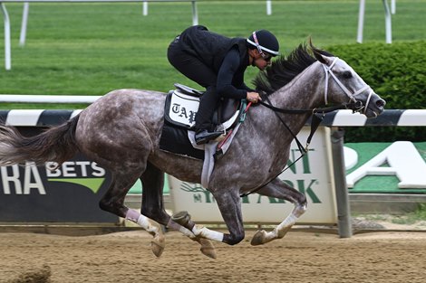 Tapit Trice, Belmont Park, June 3, 2023