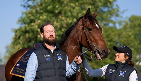 Australian sprinter Coolangatta with coach Ciaron Maher and British groom and regular rider Anna Weatherlake after galloping on the Ascot racecourse 14.6.23 Photo: Edward Whitaker