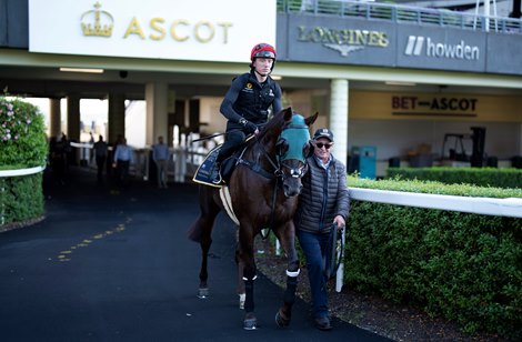 Australian coach Peter Snowden leads Cannonball off the track after the Ascot exercise 14.6.23 Photo: Edward Whitaker