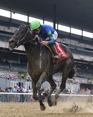 Goodnight Olive wins the 2023 Bed o&#39; Roses Stakes at Belmont Park