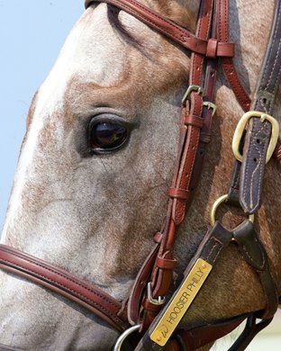 Hoosier Philly wins the Monomoy Girl Overnight Stakes on Saturday, June 17, 2023 at Ellis Park