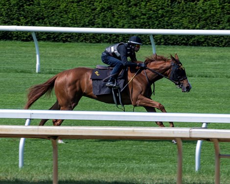 Bundchen Morning training at Keeneland in Lexington, Ky. on June 9, 2023, includes scenes with Ben McElroy and Wesley Ward.