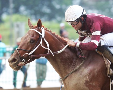 Disarm -  The Matt Winn - 26th Running - R09 - Ellis Park - 061123