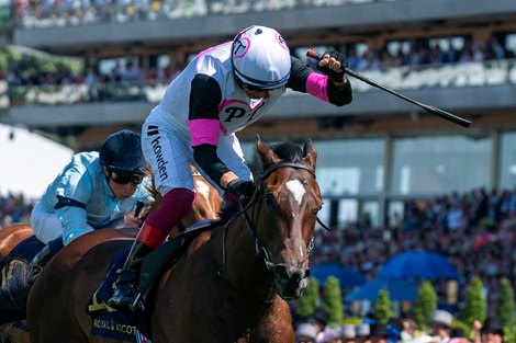 Porta Fortuna Is Medallion Racing's Lucky Charm at Ascot