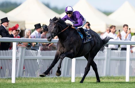 King of Steel (Kevin Stott) wins the King Edward VII Stakes<br>
Ascot 23.6.23 Pic: Edward Whitaker