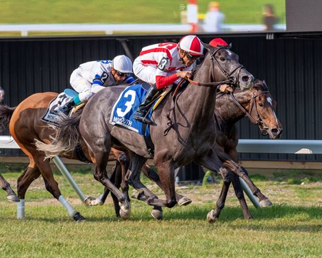 Consumer Spend # while riding Samy Camacho won $150,000 in Eatontown Class III shares at Monmouth Park Speedway in Oceanport, NJ on Saturday, June 17, 2023. Photo by Joe Labozzetta/EQUI-PHOTO.