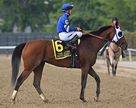 Pretty Mischievous wins the 2023 Acorn Stakes at Belmont Park