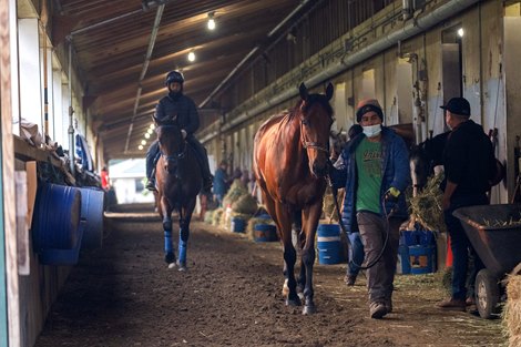 Horses walk the shed row as haze from the smoke from wildfire in Canada was evident and as a result the return of the masks on the worker equally so at Belmont Park as morning training and the afternoon race card were cancelled for the safety of the horses and the horseman Thursday June 8, 2023 in Elmont, N.Y.  Photo by Skip Dickstein