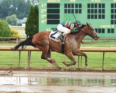 Unifying wins the Leslie&#39;s Lady Overnight Stakes at Ellis Park on June 11, 2023