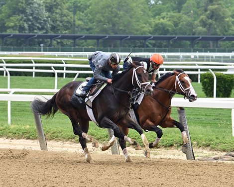 Forte (outside), Belmont Park, June 3, 2023