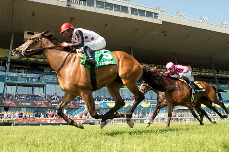 Jockey Patrick Husbands guides Our Flash Drive to victory in the (Grade 2) $175,000 Royal North Stakes. Our Flash Drive is owned by Live Oak Plantation and trained by Mark Casse.
