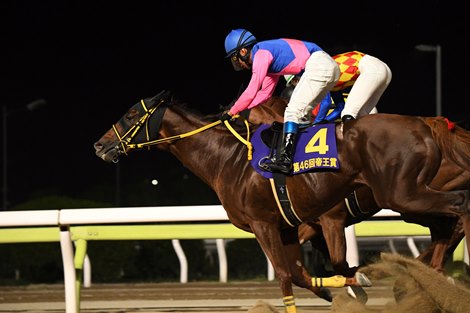 Meisho Hario wins the 2023 Teio Sho at Oi Race Course<br>
Meisho Hario was ridden by Suguru Hamanaka, trained by Inao Okada and owned by Yoshio Matsumoto