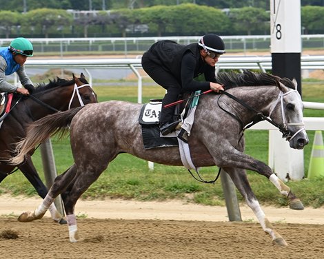 Tapit Trice, Belmont Park, June 3, 2023