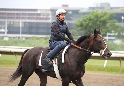 Geaux Rocket Ride with assistant trainer Jose Contreras stretches his legs at Monmouth Park on Wednesday morning 7/19/23 in preparation for Saturday&#39;s $1,000,000 Grade 1 Haskell Stakes. Photo By Bill Denver/EQUI-PHOTO