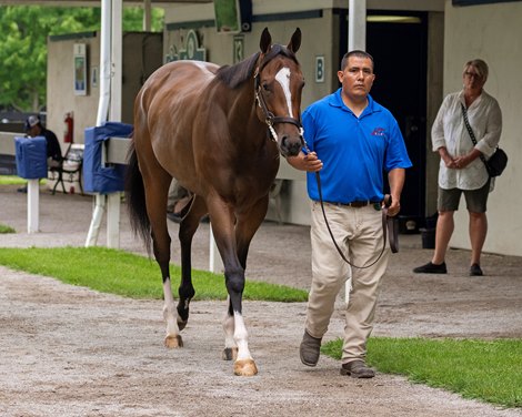 Ennis Back at F-T July with Strongest Consignment Yet - TrueNicks.com