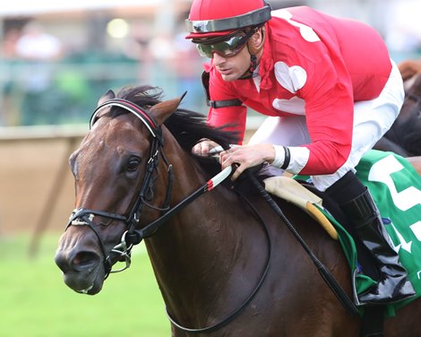 Xigera wins the Tepin Stakes on Saturday, July 1, 2023 at Ellis Park