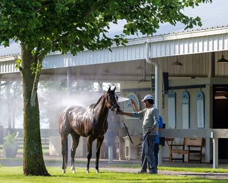 bath time Move in day at Fasig-Tipton Kentucky sales grounds as yearlings and horses of racing age arrive and get baths on July 7, 2023.