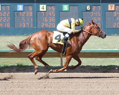 Misty Girl wins the CTBA Oaks on Saturday, July 29, 2023 at Arapahoe