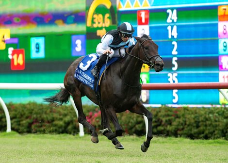 Anisette and jockey Umberto Rispoli win the Grade II, $200,000 San Clemente Stakes, Saturday, July 22, 2023 at Del Mar Thoroughbred Club, Del Mar CA.<br><br />
&#169; BENOIT PHOTO