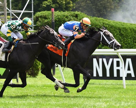 Noted - Maiden Win, Saratoga, July 22, 2023