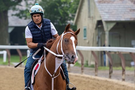 2023 Kentucky Derby winner Mage takes to the Oklahoma Training Center track for the first time since arriving from Monmouth Park Wednesday July 26, 2023 in Saratoga Springs, N.Y. Photo by Skip Dickstein