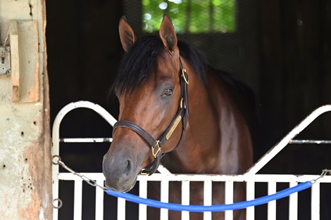 Angel of Empire, Saratoga, July 15 2023