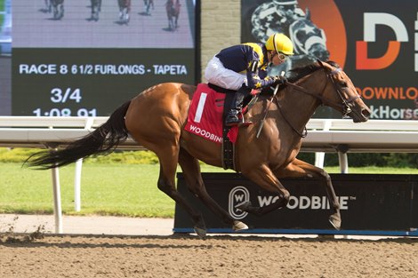 Driver Kazushi Kimura guides Loyalty to win the $150,000 Hendrie Stakes prize (3rd Place).  Loyalty is owned by Gainesway Stable and LNJ Foxwoods and is coached by Josie Carroll.