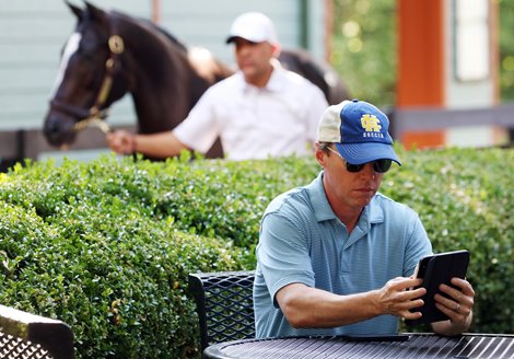 Attractions, HORA Sale 2023 July Fasig-Tipton Sale