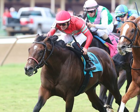 Stitched wins the Wise Dan Stakes on Saturday, July 1, 2023 at Ellis Park